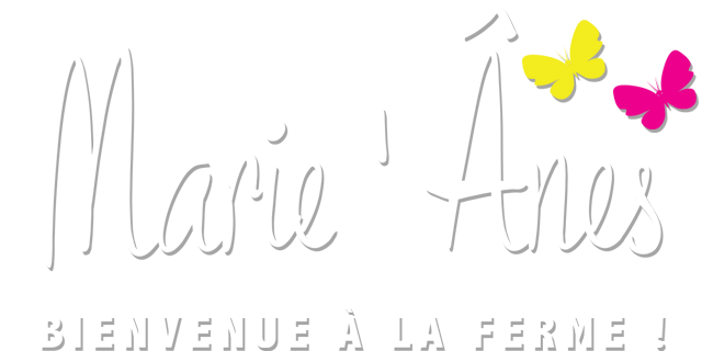 marie-anes.com