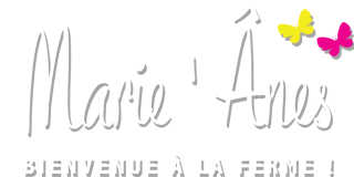 marie-anes.com